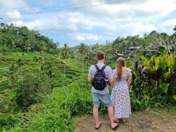 Bali: Multi-Day Customizable Private Tour With Driver-Guide - Booking and Cancellation Policy