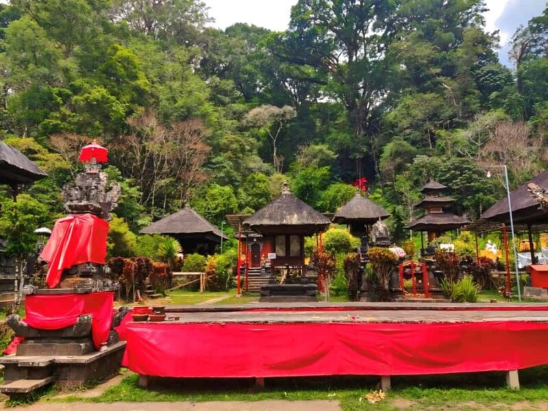 Bali: Munduk, Tamblingan Lake Trekking and Canoeing - Final Thoughts