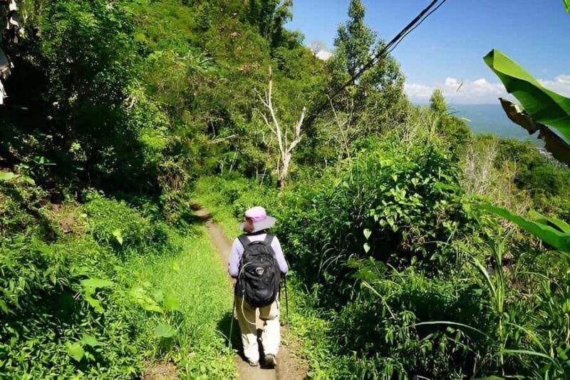 Bali: Munduk Waterfall and Cooking class - The Culinary Experience: Cooking in a Balinese Home