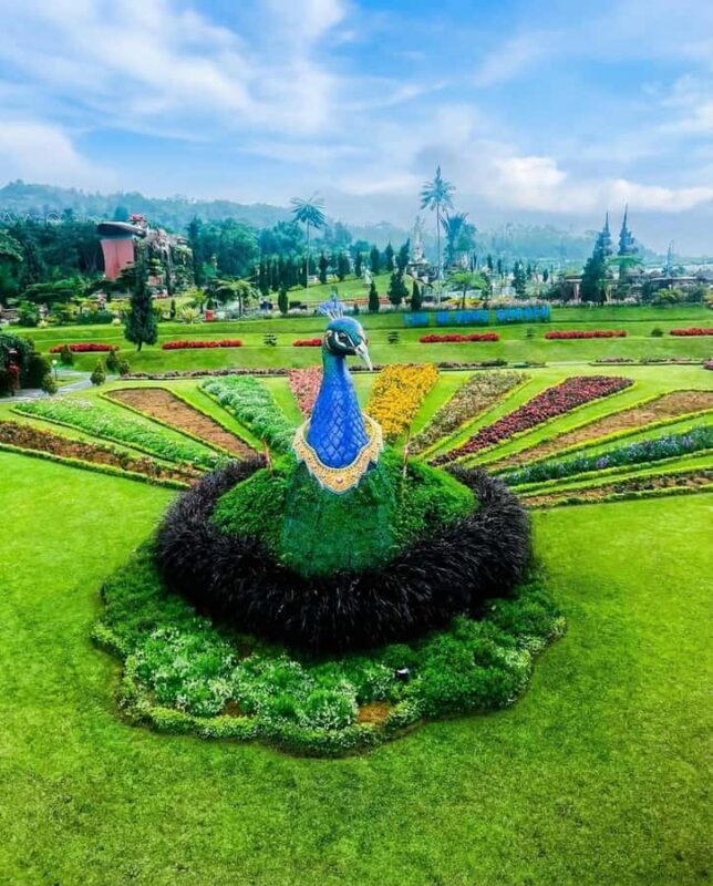 Bali: Natures Bloom, Lake Reflections and Strawberry Bliss - Good To Know