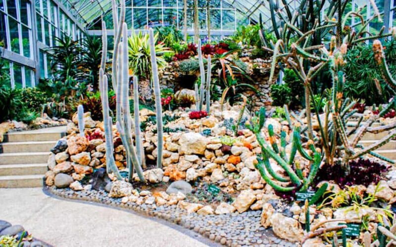 Bali: Natures Bloom, Lake Reflections and Strawberry Bliss - FAQ