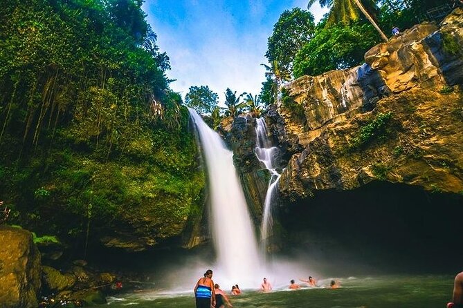 Bali Night Market Experience and Ubud Highlights Tour - Tour Highlights and Itinerary