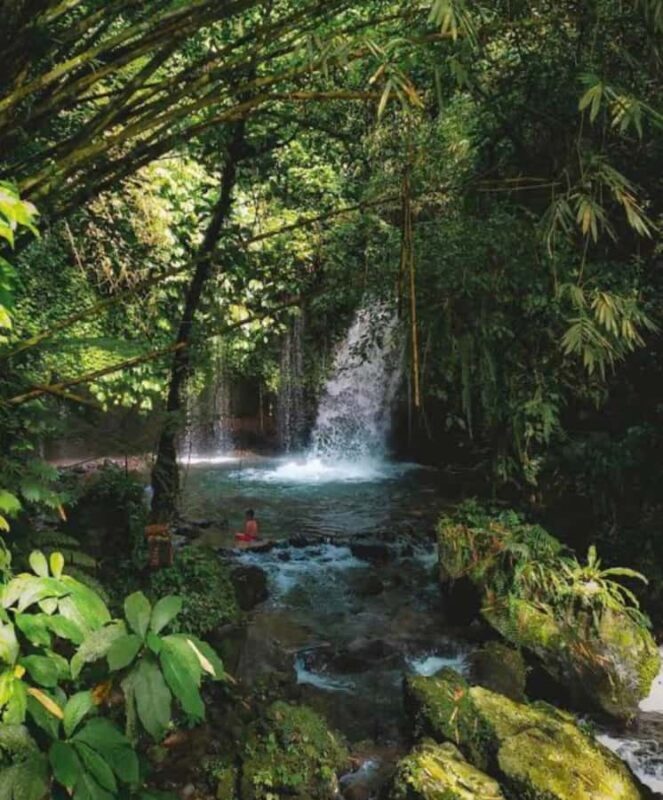 Bali: North Bali Private Car Rental With Female Driver - Authentic Experiences and Tips