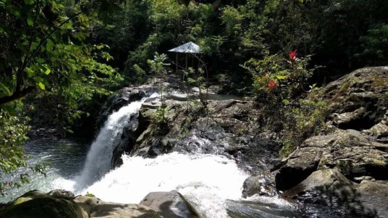 Bali: North Bali Private Tour With Flexible Itenarary - Authentic and Relaxed Experience in North Bali