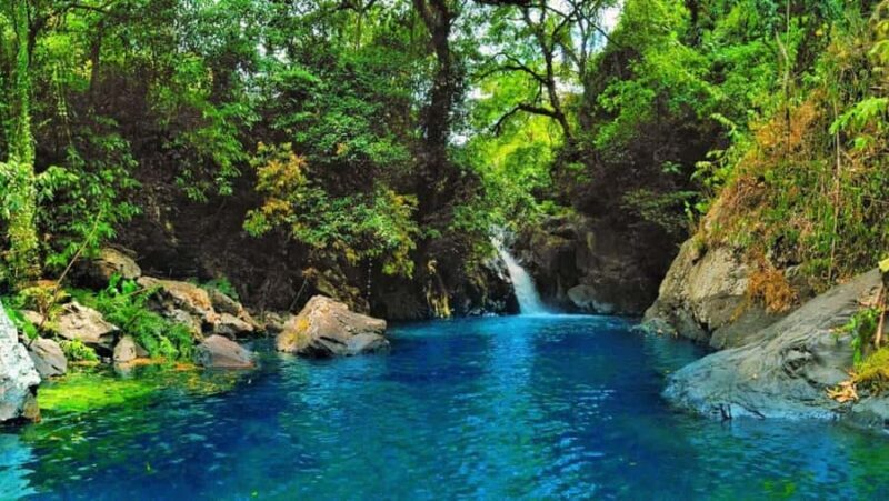 Bali: North Bali Private Tour With Flexible Itenarary - Frequently Asked Questions