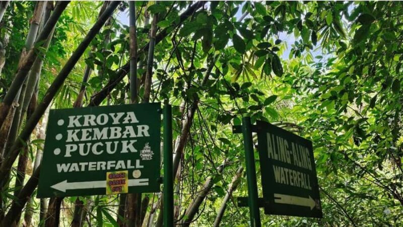 Bali: North Bali Tour With Flexible Itinerary Options - Discovering North Bali’s Natural Beauty