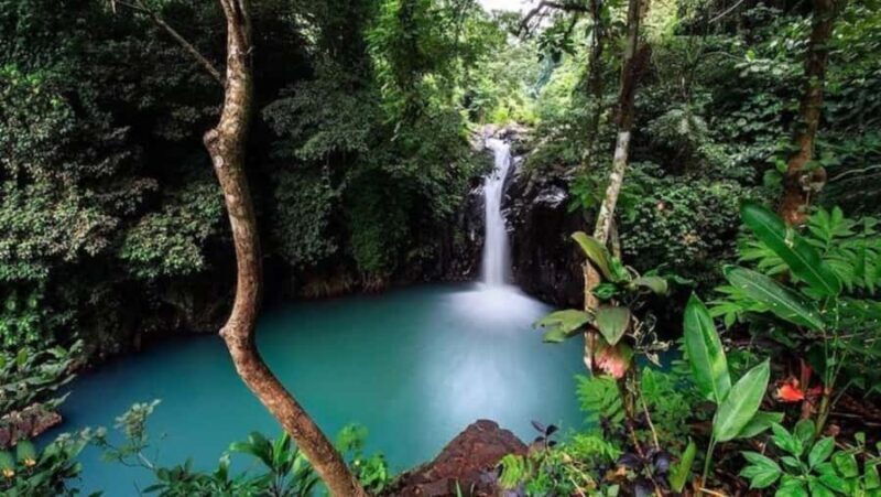 Bali: North Bali Tour With Flexible Itinerary Options - Final Thoughts