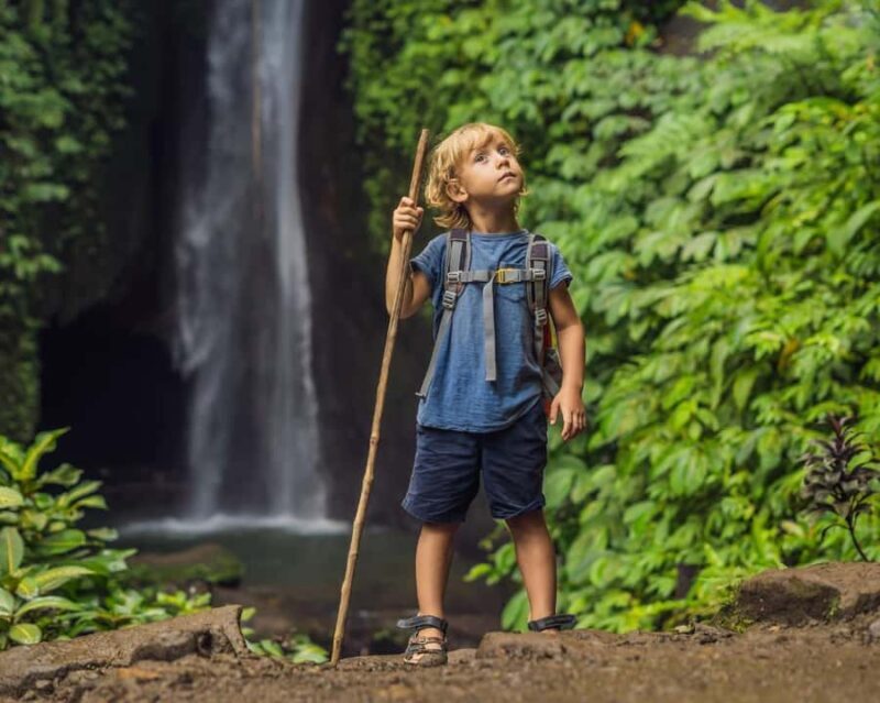 Bali: North Bali Tour with Jatiluwih, Ulun Danu, Waterfall. - Who Should Consider This Tour?