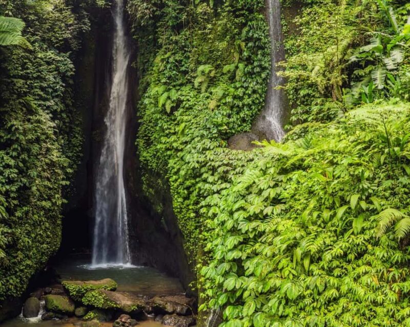 Bali: North Bali Tour with Jatiluwih, Ulun Danu, Waterfall. - Who Will Love This Tour?