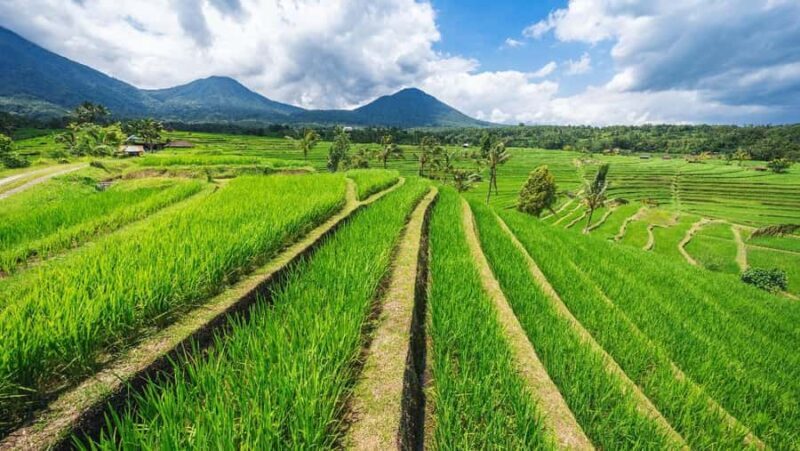 Bali: North Bali Tour with Ulun Danu Beratan Temple - Practicalities and Considerations