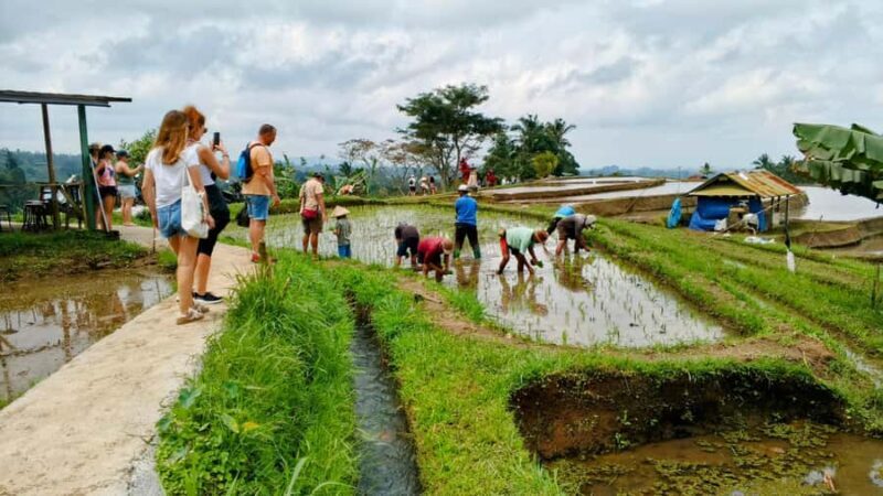 Bali: North Bali Tour With Yeh Hoo Waterfall - A Complete Guide to the North Bali Tour with Yeh Hoo Waterfall