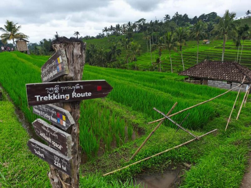 Bali: North Bali Tour With Yeh Hoo Waterfall - Final Thoughts: Is It Worth It?