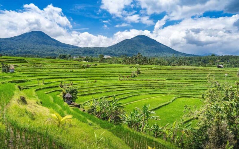 Bali: North Highlights Private Full-Day Customized Tour - Introduction