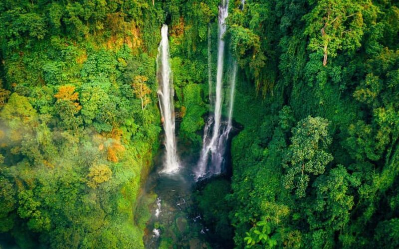 Bali: North Highlights Private Full-Day Customized Tour - Who is This Tour Best For?