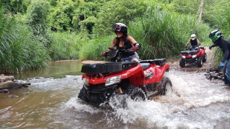 Bali: North Highlights Private Full-Day Customized Tour - The Sum Up