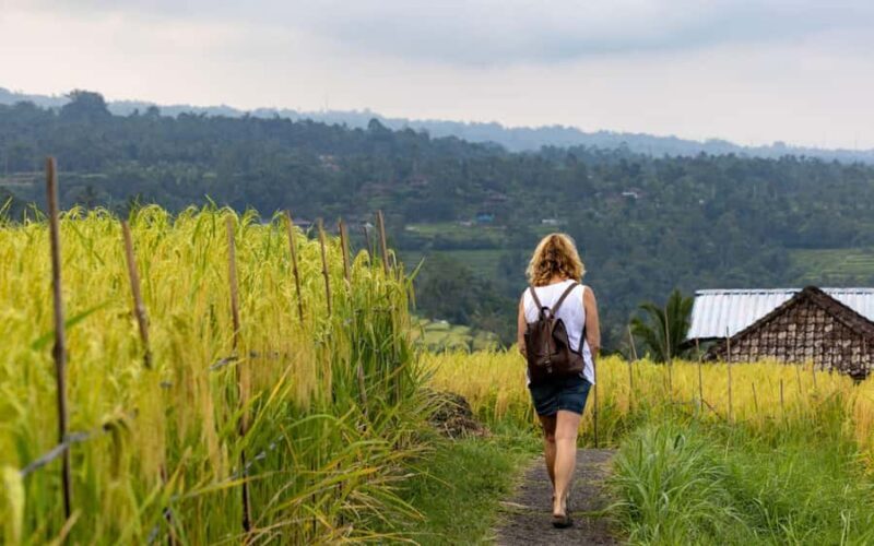 Bali: North Highlights Private Full-Day Customized Tour - FAQ