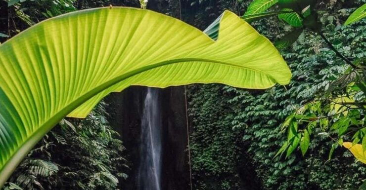 Bali: Northern Bali Private Day Trip With Hotel Transfers - Activity Duration and Flexibility