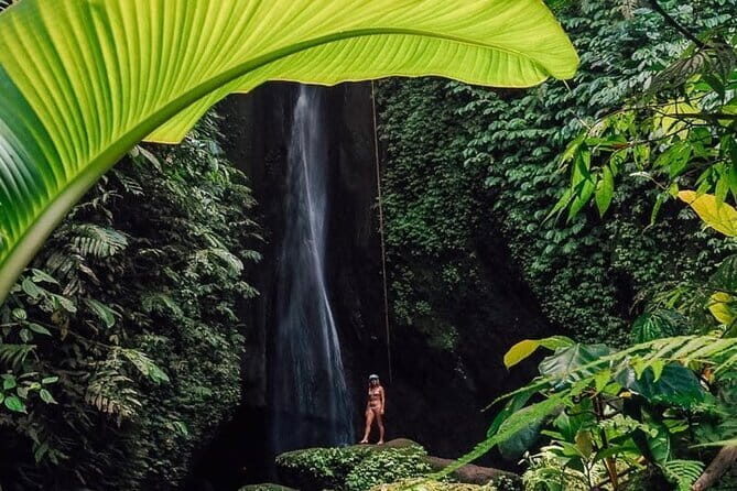 Bali : Northern Bali Private Day Trip with Transfer - Exploring Northern Bali: A Balanced Look at the Private Day Trip