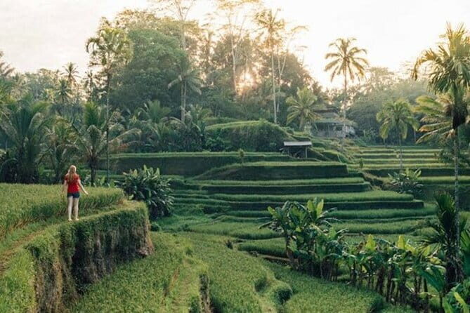 Bali : Northern Bali Private Day Trip with Transfer - FAQ