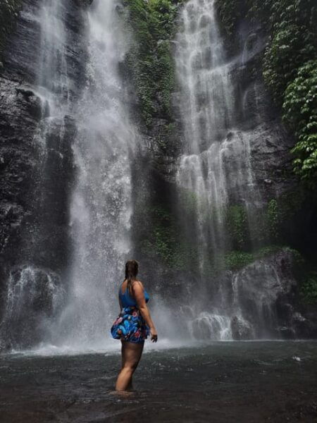 Bali Northern Trip : Majestic Waterfall Tour - Traveler Experiences and Reviews