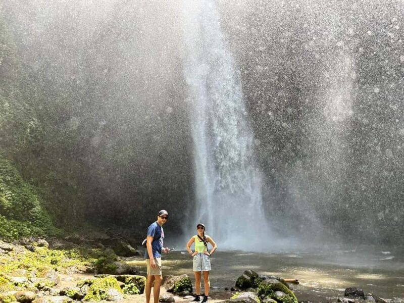 Bali: Nung-Nung Waterfall & Rice Terraces Tour - The Sum Up