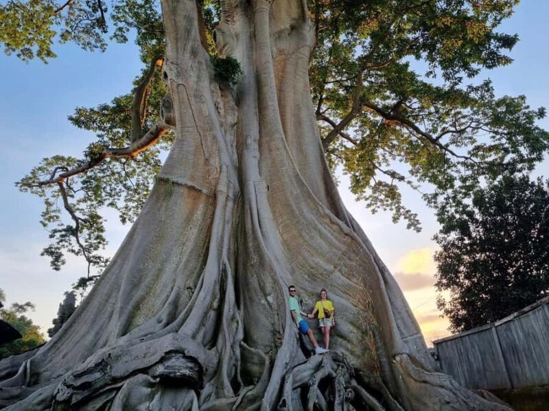 Bali: Nung-Nung Waterfall & Rice Terraces Tour - Exploring Bali’s Natural Wonders and Cultural Gems