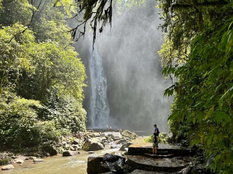 Bali: Nung-Nung Waterfall & Rice Terraces Tour - How the Tour Compares to Others