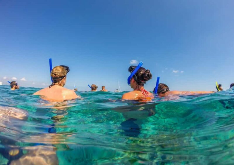 Bali/Nusa Dua: Snorkeling, Glass Boat Ride & Turtle Center - Analyzing the Value
