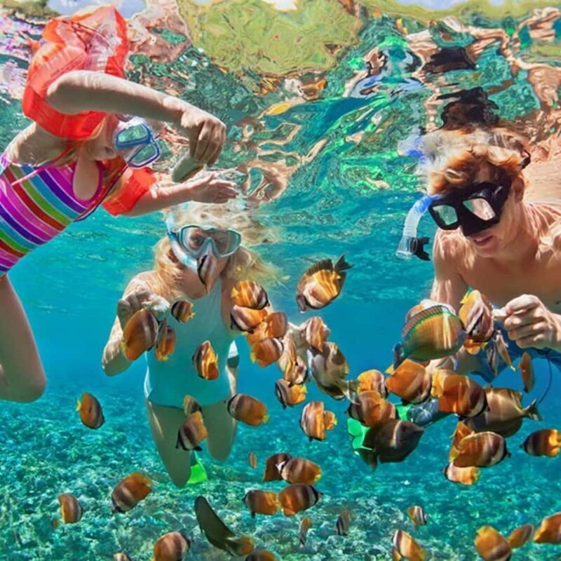 Bali/Nusa Dua: Snorkeling, Glass Boat Ride & Turtle Center - Authentic Insights from Reviews