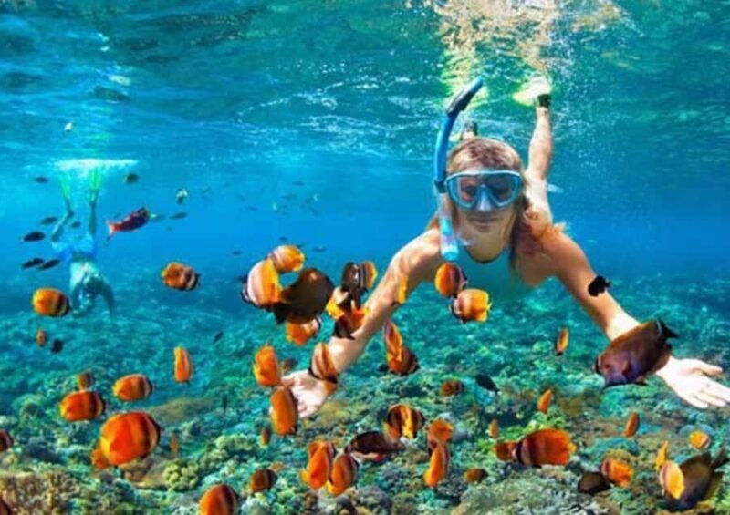 Bali/Nusa Dua: Snorkeling, Glass Boat Ride & Turtle Center - Who Might Want to Skip It?