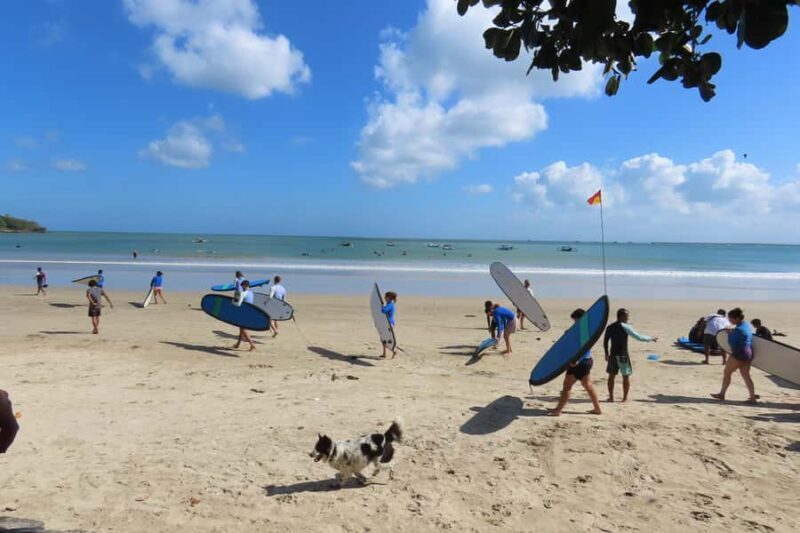 Bali/Nusa Dua: Surf Class for Beginner and Intermediate - Good To Know