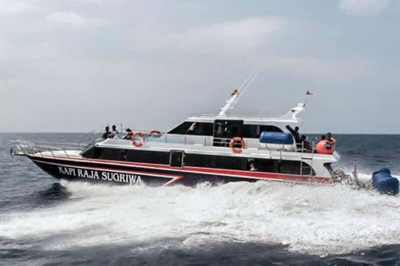 Bali: Nusa Lembongan Day Tour - Who Is This Tour Best For?