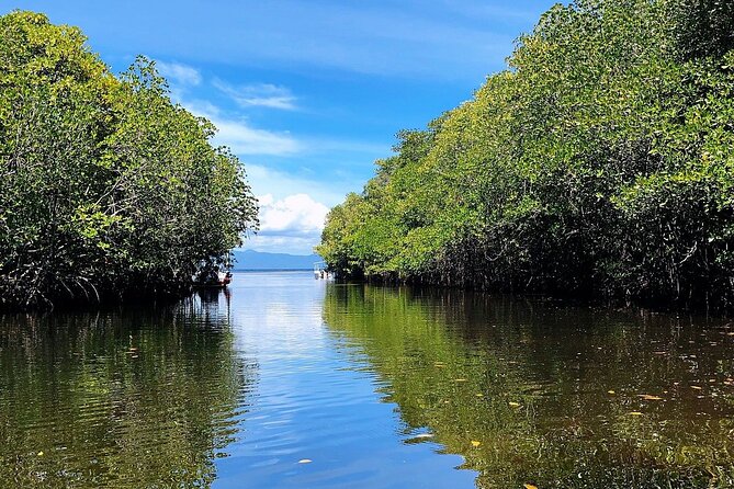 Bali Nusa Lembongan Islands Private Tour - All Inclusive - Tour Highlights