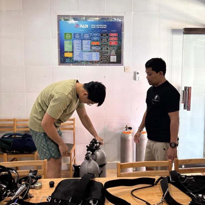 Bali/Nusa Penida: 3 Fun Dives to Manta Point, Mola & Reef - Final Thoughts and Who This Is Best For