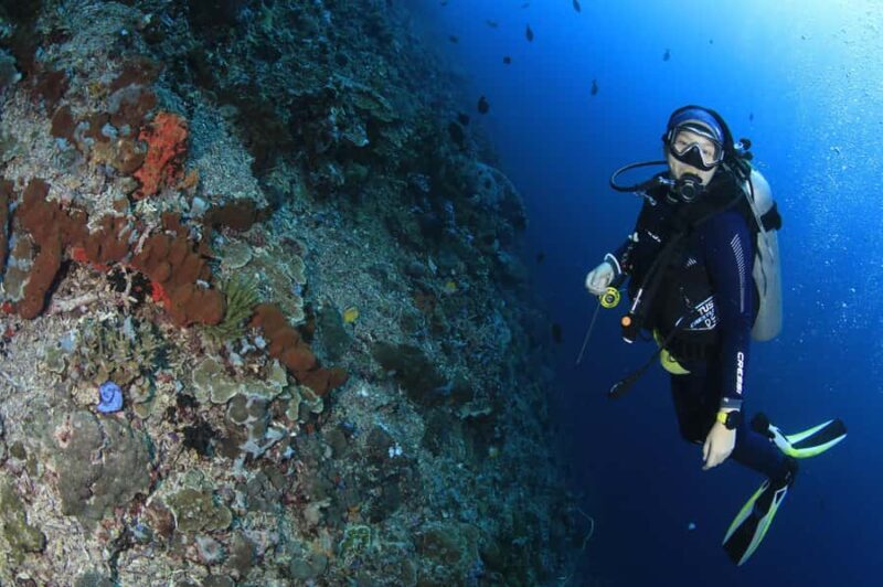 Bali/Nusa Penida: 3 Fun Dives to Manta Point, Mola & Reef - Frequently Asked Questions