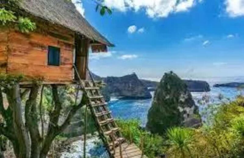 Bali Nusa Penida Day Tour With All Inclusive - The Sum Up