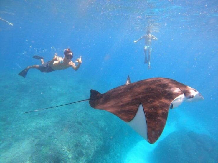 Bali : Nusa Penida Excursion Tour to See Manta Rays by Boat - Itinerary and Activities