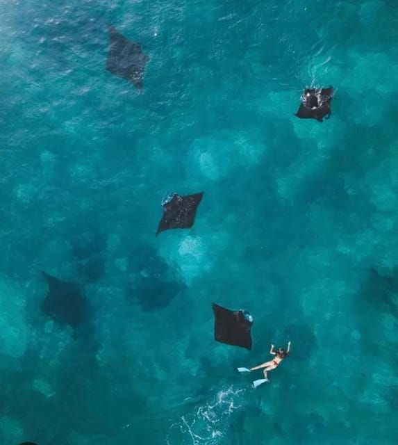 Bali : Nusa Penida Excursion Tour to See Manta Rays by Boat - Highlights of the Excursion