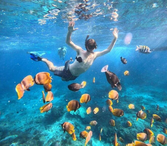 Bali : Nusa Penida Excursion Tour to See Manta Rays by Boat - Inclusions and Equipment