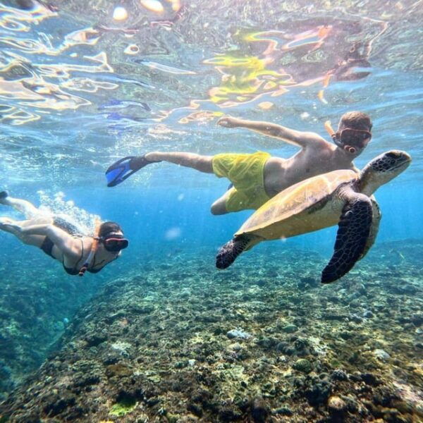 Bali : Nusa Penida Excursion Tour to See Manta Rays by Boat - Travel and Transport Details