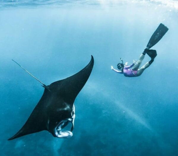 Bali : Nusa Penida Excursion Tour to See Manta Rays by Boat - Local Dining Options