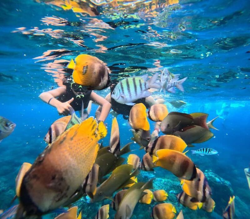 Bali: Nusa Penida Full-Day Trip with Snorkeling - The Experience: Breaking Down the Day