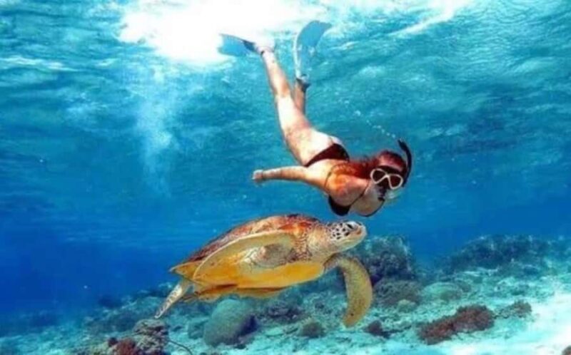 Bali: Nusa Penida Full-Day Trip with Snorkeling - Final Thoughts