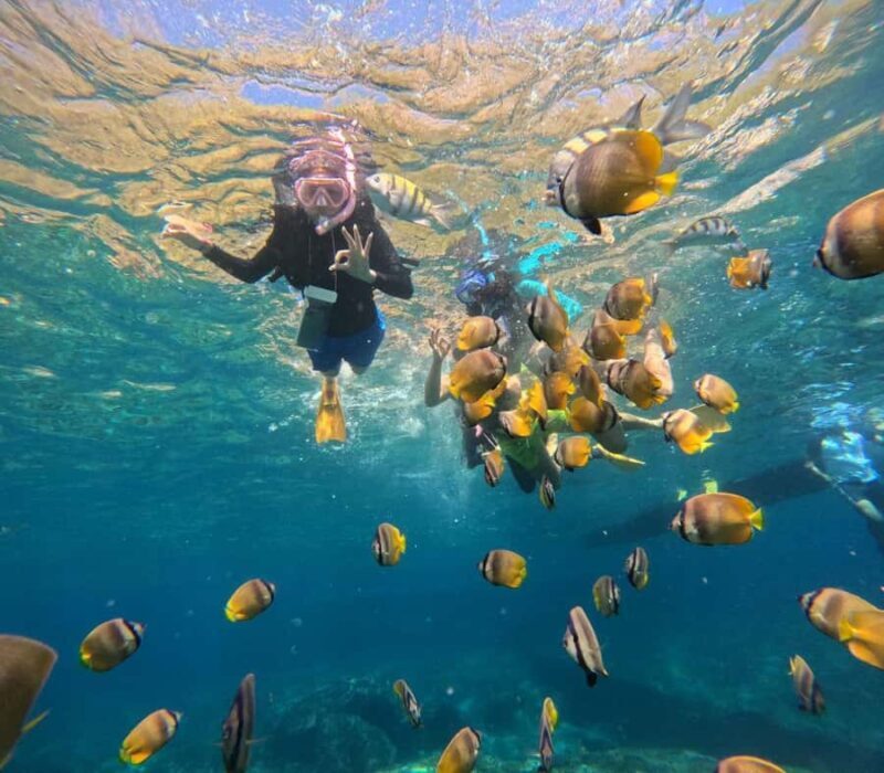 Bali: Nusa Penida Full-Day Trip with Snorkeling - FAQ