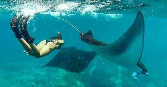 Bali - Nusa Penida Highlight Snorkeling and Land Tour - Land Tour Exploration Details