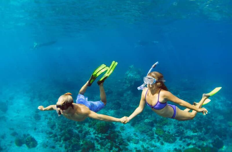Bali/Nusa Penida: Manta Point Snorkel Boat & West Coast Tour - Who would love this tour?