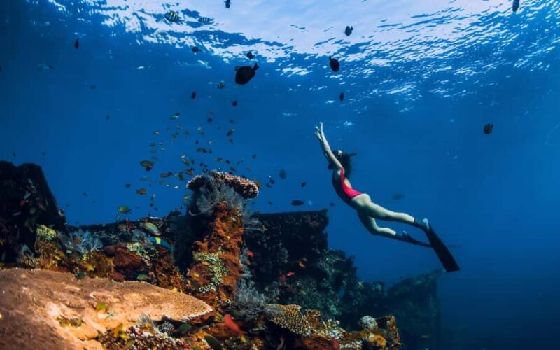 Bali/Nusa Penida: Manta Point Snorkel Boat & West Coast Tour - Good To Know