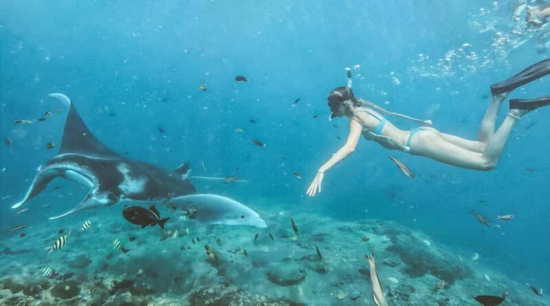 Bali/Nusa Penida: Manta Point Snorkeling & West Coast Tour - Good To Know  