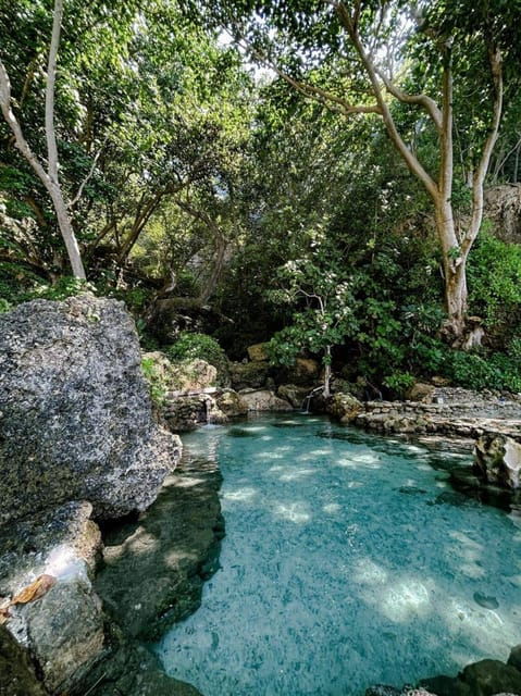 Bali : Nusa Penida Private Day Tour With Guide - Key Points