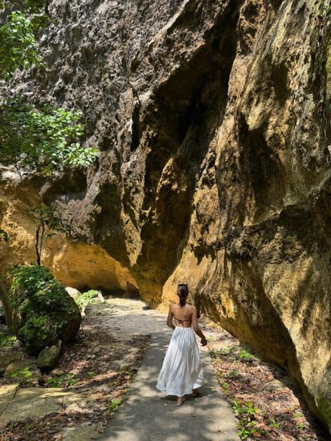 Bali : Nusa Penida Private Day Tour With Guide - Experience and Activities
